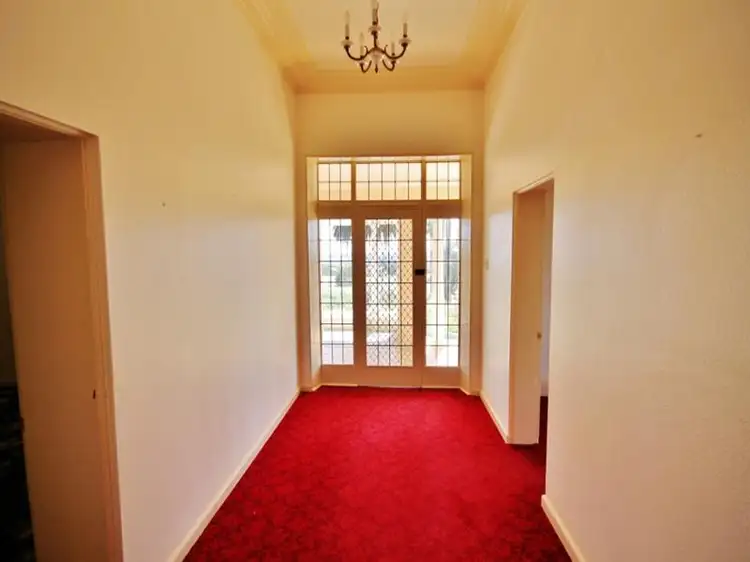 Seventh view of Homely rural property listing, 524 Olympic Hwy North, Young NSW 2594