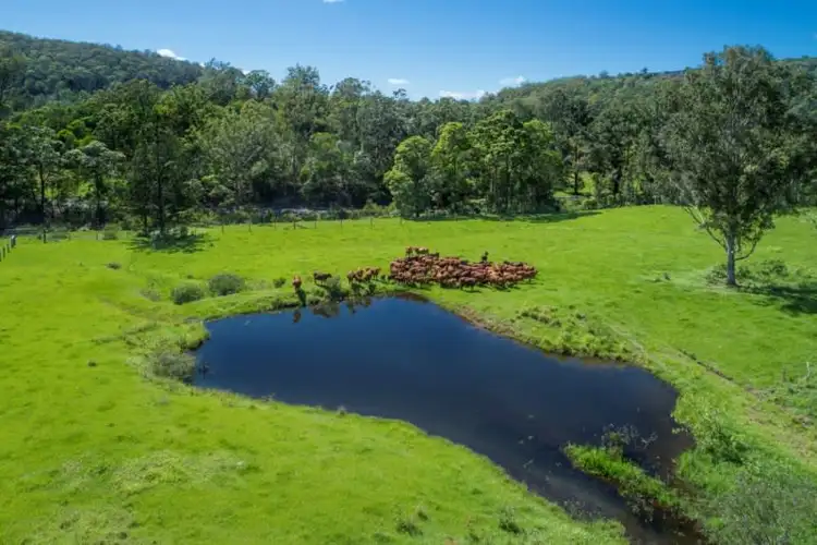 Third view of Homely rural property listing, 392 Moorina Road, Moorina QLD 4506