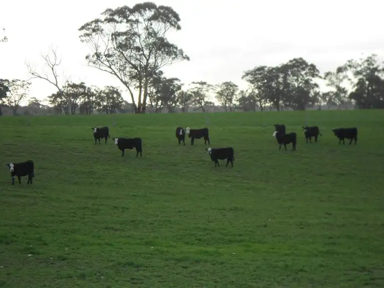 Second view of Homely rural property listing, 1760 Cadgee Road, Naracoorte SA 5271