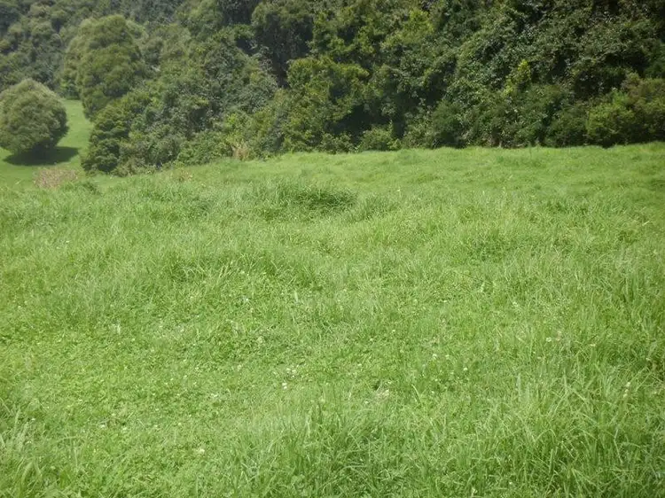 Fifth view of Homely rural property listing, Lot 11 Bells Hill Road, Robertson NSW 2577