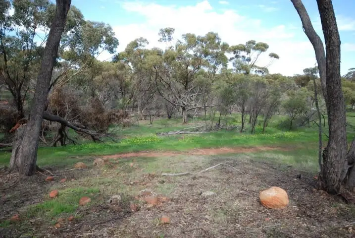 Sixth view of Homely land listing, 58 Pitt Street, Pingelly WA 6308