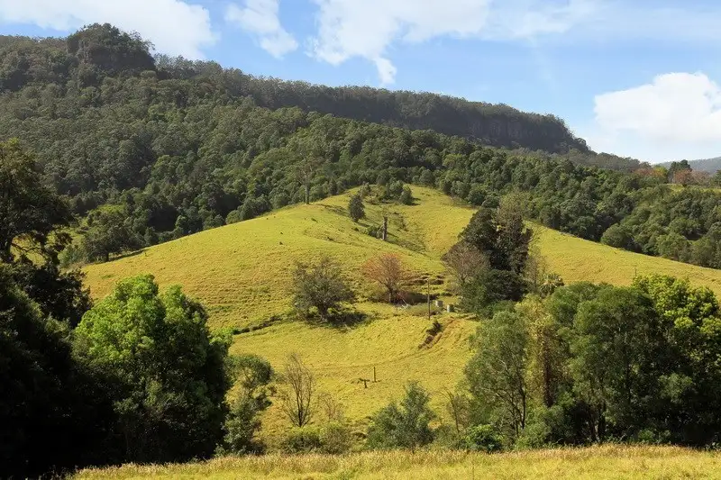Main view of Homely rural property listing, Lot 104 Browns Mountain Road, Cambewarra NSW 2540