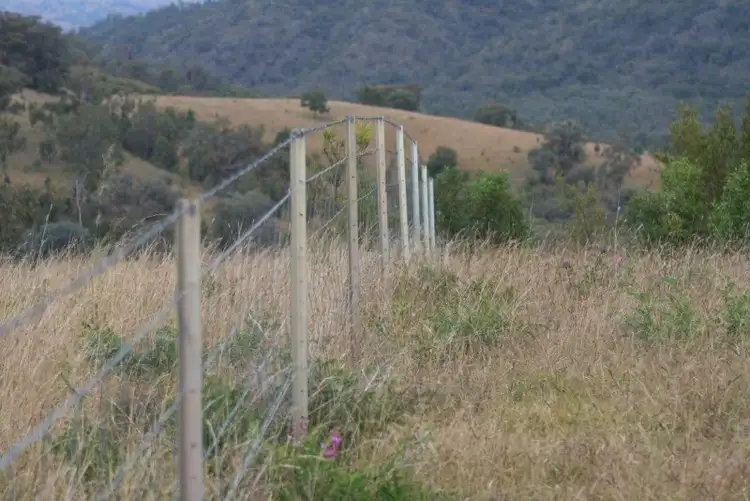 Fifth view of Homely rural property listing, Bora Bora Link Road, Dinoga NSW 2404