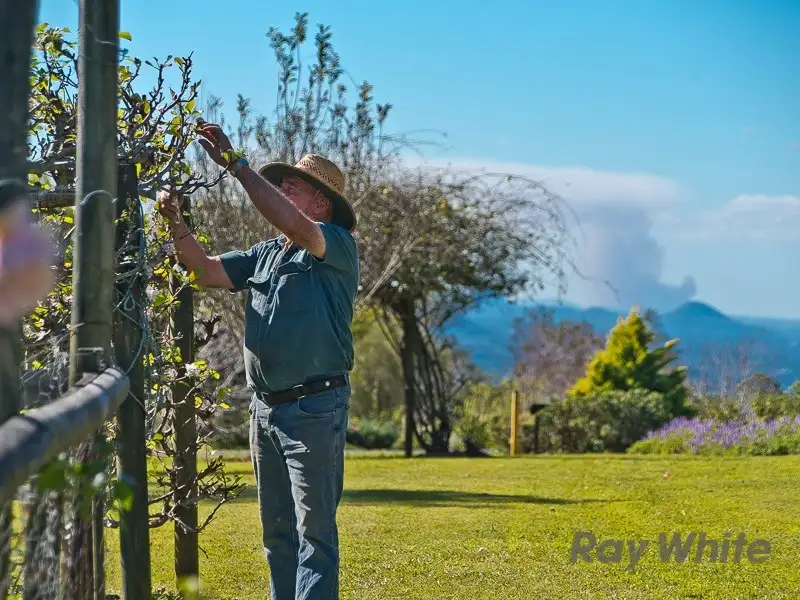 Main view of Homely house listing, 38 Pacific Vista Court, Ocean View QLD 4521
