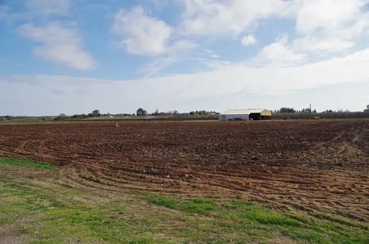 Second view of Homely rural property listing, 298 Kulkyne Street, Renmark SA 5341