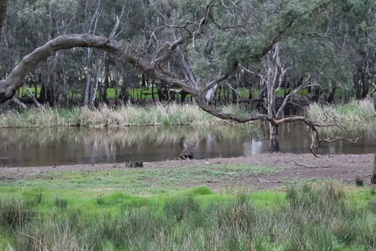 Seventh view of Homely rural property listing, 1234 Tea Tree Creek Road, Harrow VIC 3317
