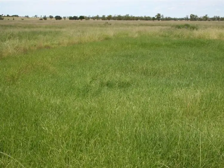 Seventh view of Homely rural property listing, 0 'RACEVIEW", Roma QLD 4455