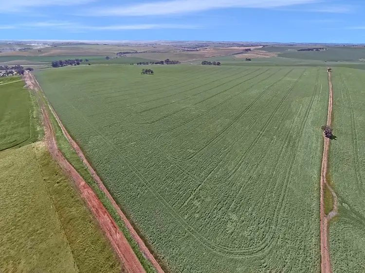 Third view of Homely rural property listing, Kilarney St Johns, Kapunda SA 5373