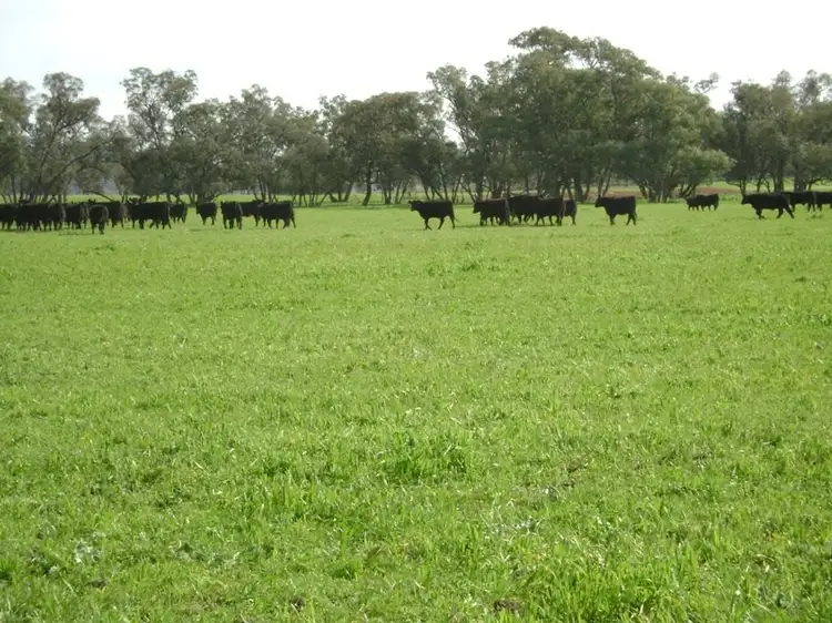212 Binda Road, Gooloogong NSW 2805