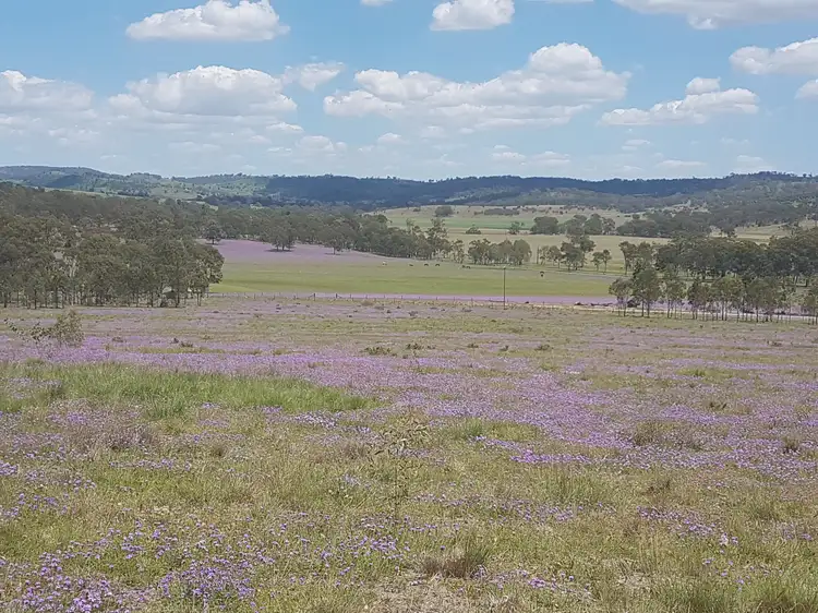 Main view of Homely rural property listing, 3303 New England Highway, Cooyar QLD 4402