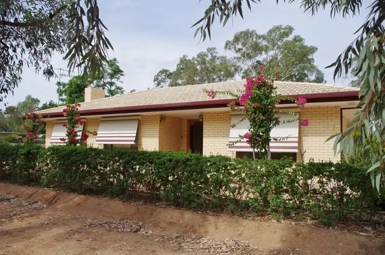67 Tapio Street, Renmark SA 5341