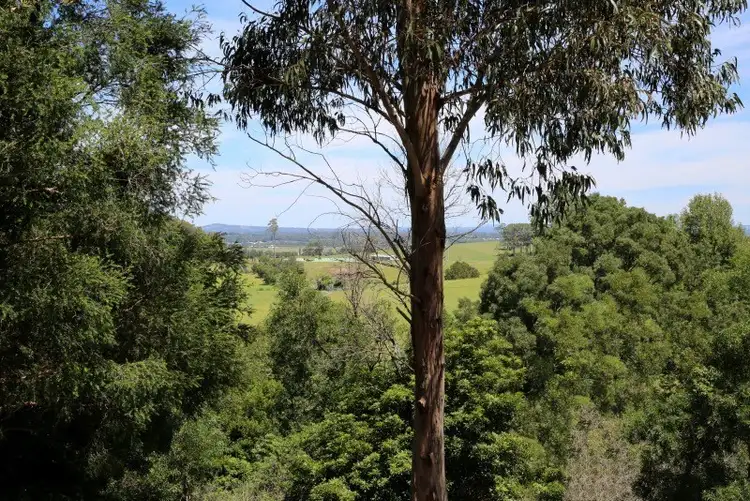 100B Devitts Lane, Meroo Meadow NSW 2540