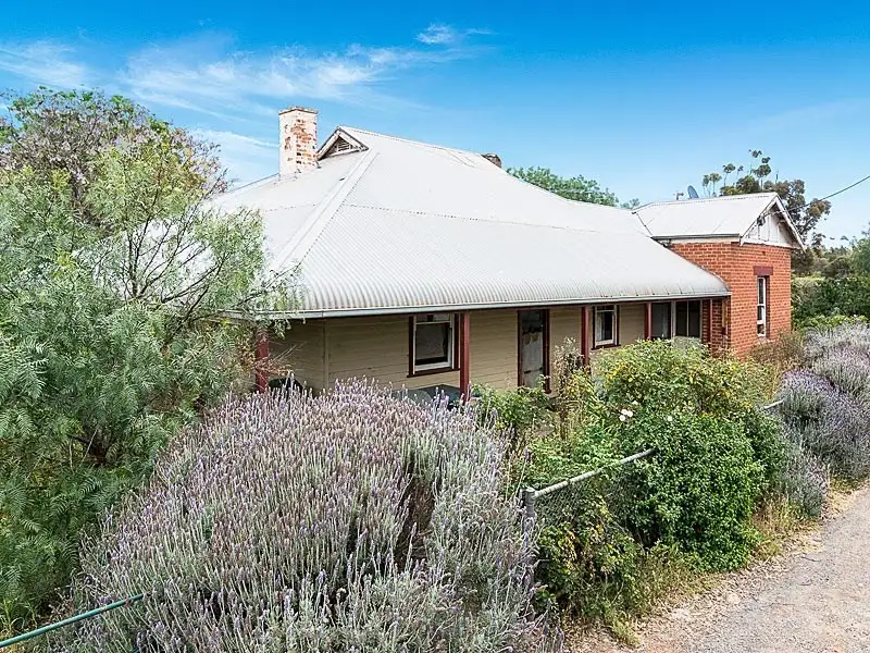 Main view of Homely house listing, 24-26 Murray Street, Callington SA 5254