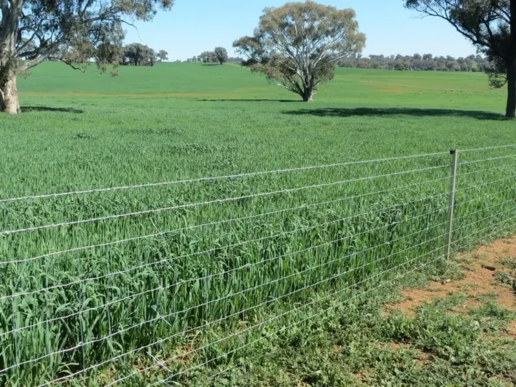 Sixth view of Homely rural property listing, "Kilgowlah" Hume Highway, Tarcutta NSW 2652