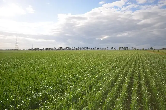 Second view of Homely rural property listing, "Welkes" Lakeview Road, Brinkworth SA 5464