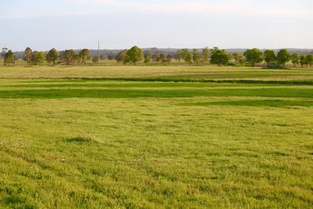 Main view of Homely land listing, 89 Newby Road, Pampoolah NSW 2430