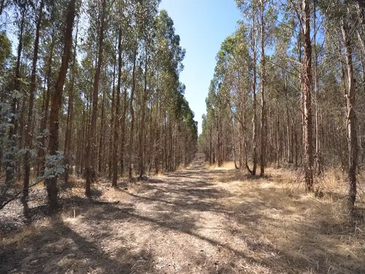 Sixth view of Homely rural property listing, Dreamers Hill Road, Linton VIC 3360