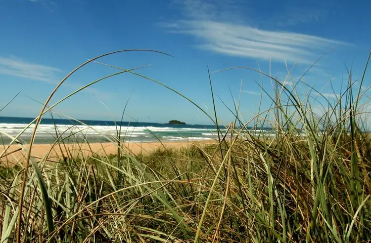 Fourth view of Homely house listing, 53 Mudjimba Esplanade, Mudjimba QLD 4564