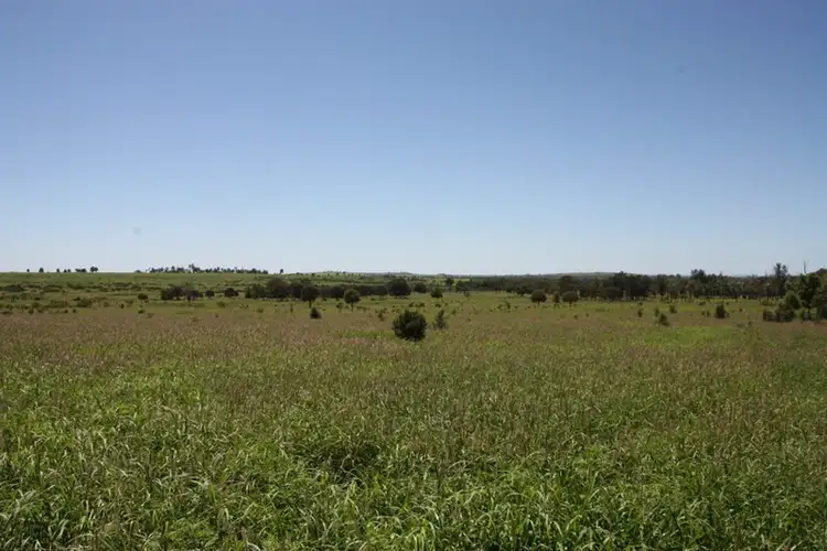 Seventh view of Homely rural property listing, 11657 Fitzroy Development Road, Bauhinia QLD 4718