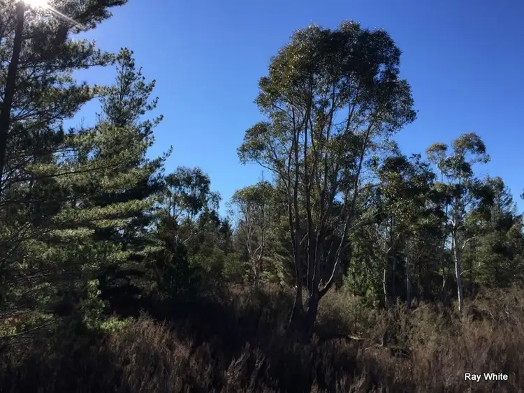Sixth view of Homely rural property listing, 8 Tally Ho Road, Bombay NSW 2622
