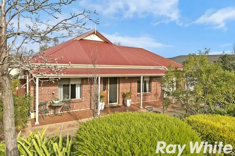 Main view of Homely house listing, 11 Shrike Place, Hewett SA 5118