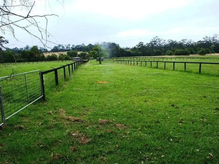 Fourth view of Homely rural property listing, 22 Gumnut Road, Herons Creek NSW 2443