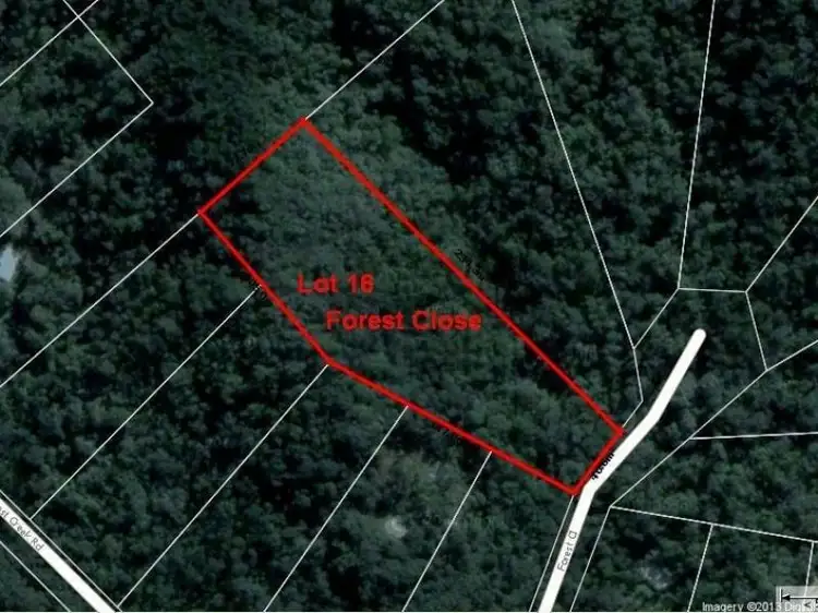 Sixth view of Homely land listing, Lot 16 Forest Close, Daintree QLD 4873