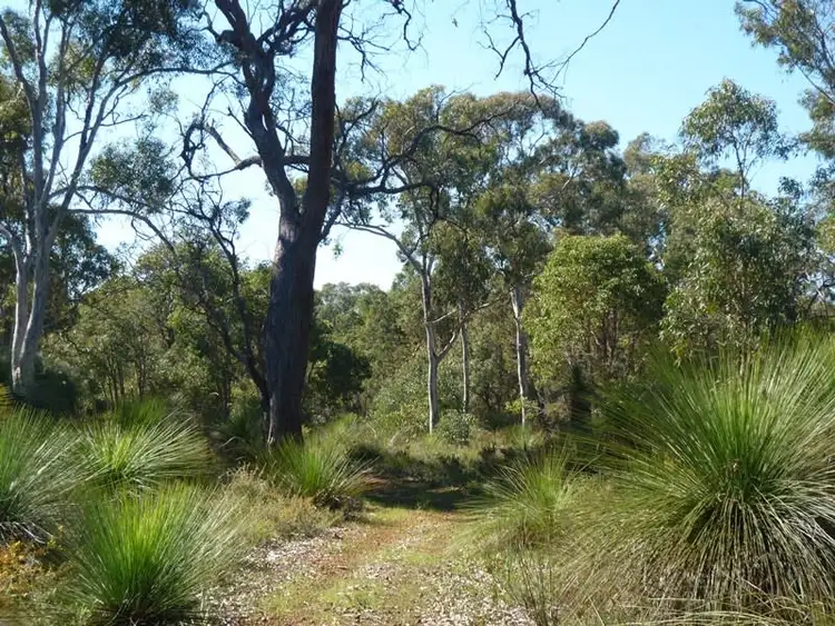 Fourth view of Homely house listing, 186 Jess Road, Bullsbrook WA 6084