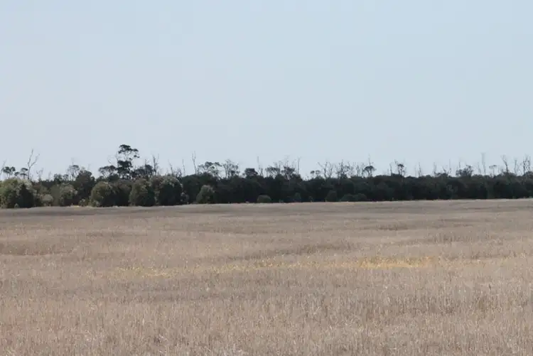 Second view of Homely rural property listing, Address available on request