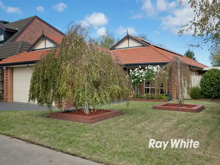 Main view of Homely house listing, 6 Tisdall Drive, Langwarrin VIC 3910