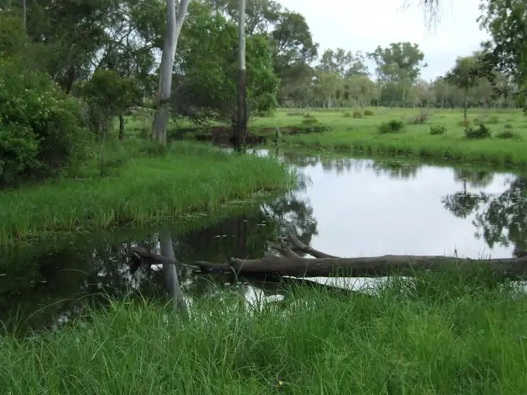 Second view of Homely rural property listing, 24 "Graceville" Andy Road, Morinish QLD 4702