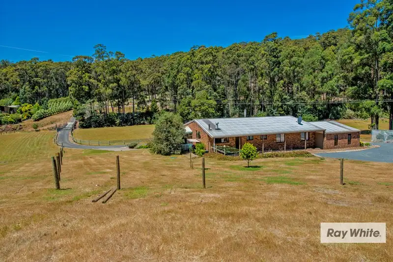 Main view of Homely house listing, 80 Bienefelts Road, Turners Beach TAS 7315
