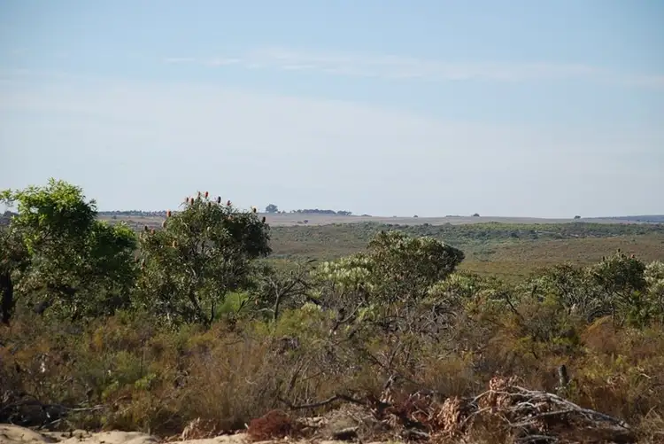 Fifth view of Homely house listing, 9 Wren Way, Jurien Bay WA 6516
