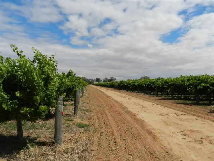 57 and 58 Schell Road, Cobdogla SA 5346