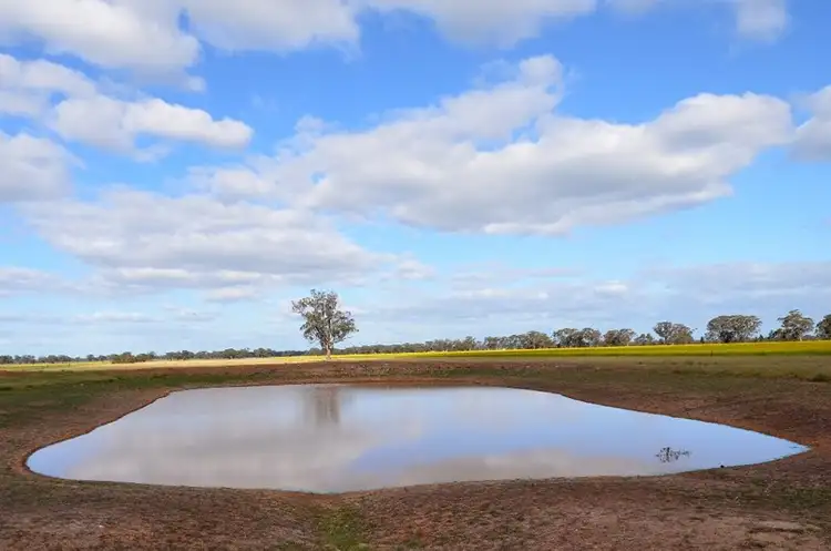 Fourth view of Homely rural property listing, Coates Road, Natte Yallock VIC 3465