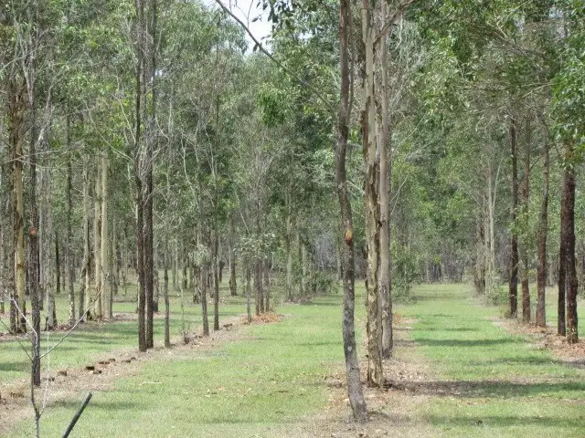 Seventh view of Homely rural property listing, 18 Bellwards Road, Coominya QLD 4311