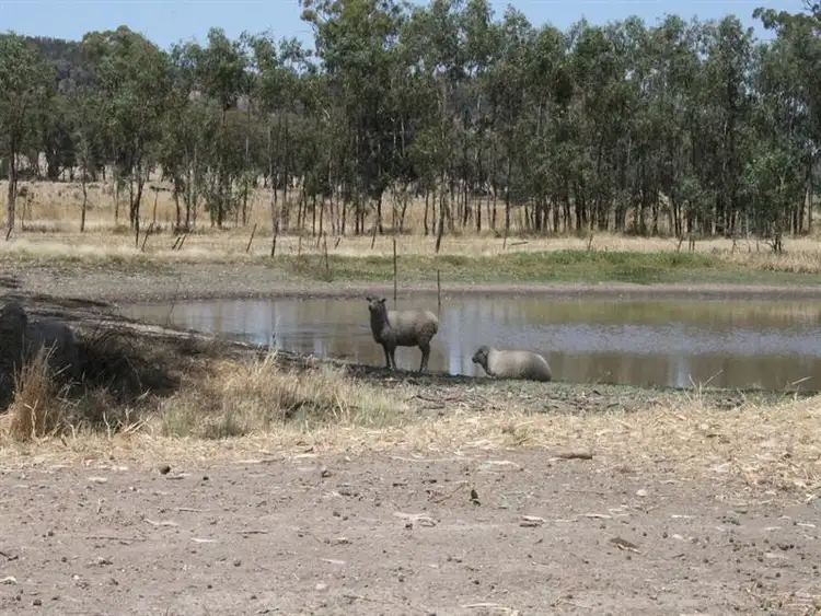 Fourth view of Homely rural property listing, 10 Eulimore Road, Eugowra NSW 2806