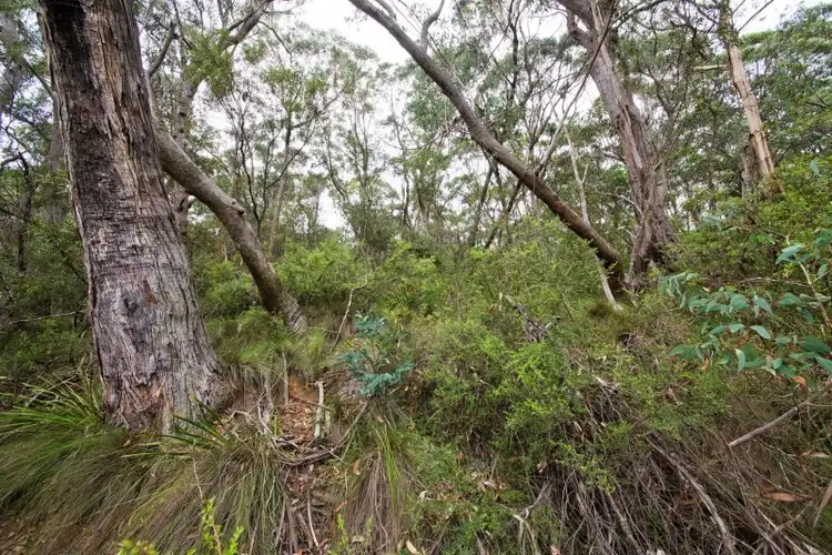 Sixth view of Homely land listing, Lot 17 Victoria Street, Mount Victoria NSW 2786