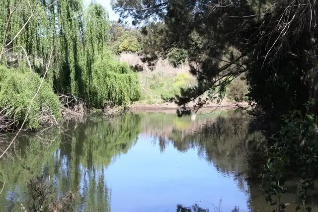 Main view of Homely rural property listing, 264 Cunningham Highway, Maryvale QLD 4370