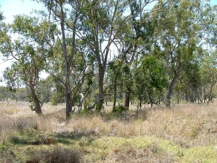 Fifth view of Homely rural property listing, 00 Perseverance Dam Road, Crows Nest QLD 4355