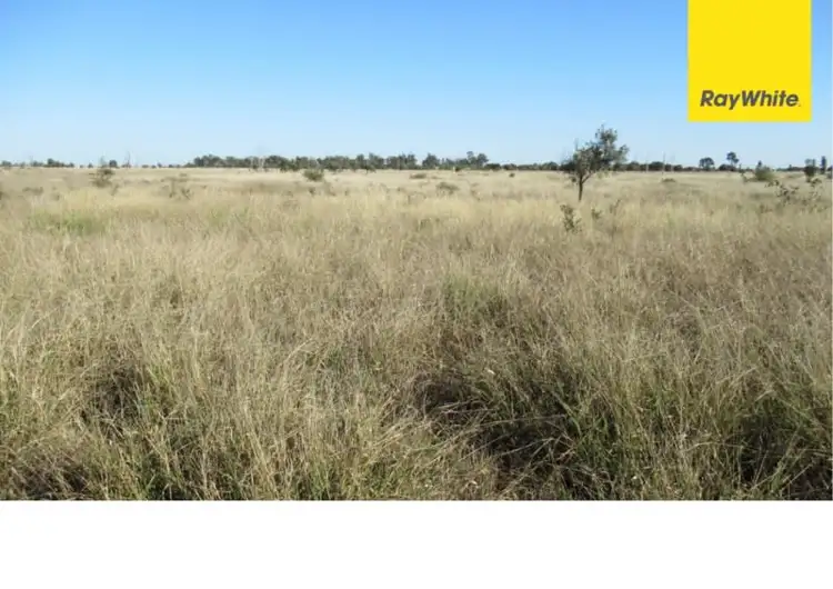 1850 Bluff / Jellinbah Road