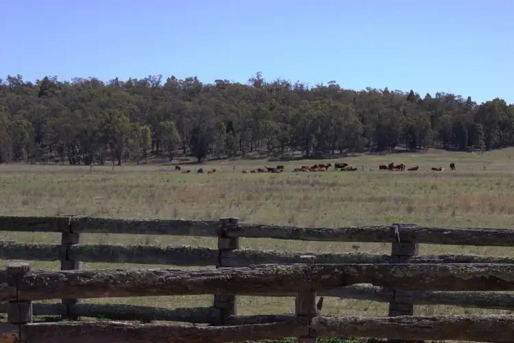Seventh view of Homely rural property listing, 230 Tothills "BANGALAY NORTH", Coonabarabran NSW 2357
