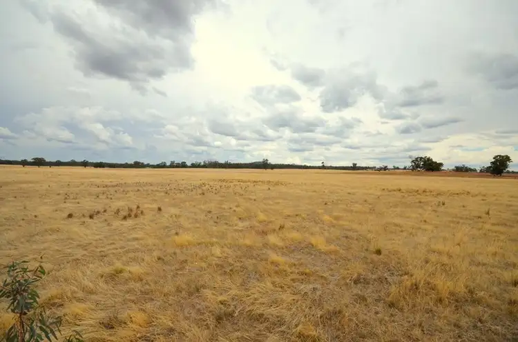 CA 3B Bealiba - Wehla Road, Cochranes Creek VIC 3475