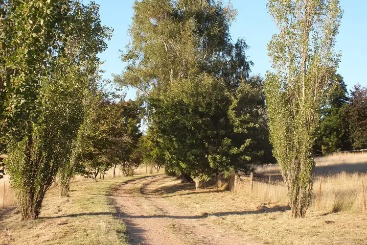 Sixth view of Homely rural property listing, Address available on request