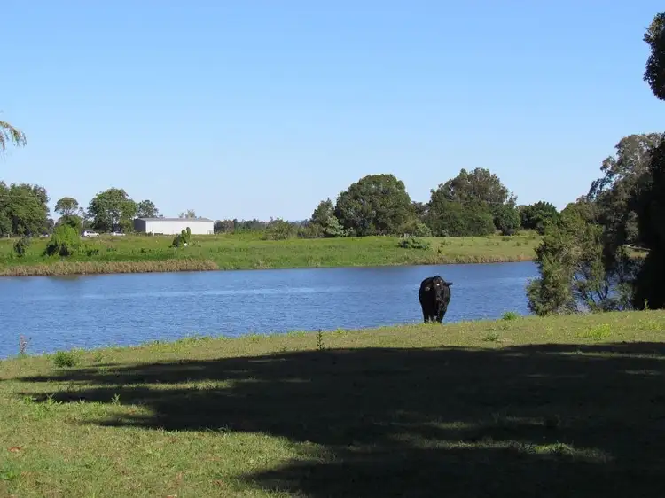 Main view of Homely house listing, 805 South Arm School Road, Brushgrove NSW 2460