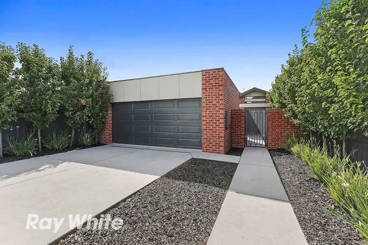 20 Belmont Street, Belmont VIC 3216