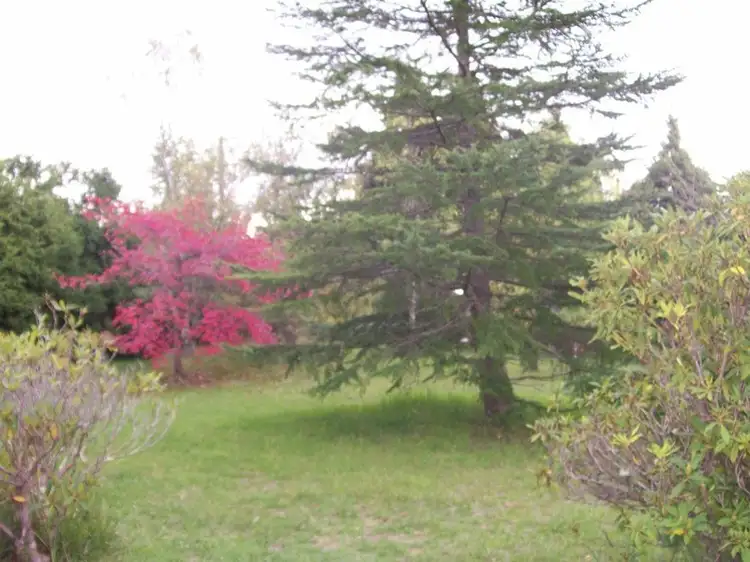 Sixth view of Homely rural property listing, 795 Barry Road, Hanging Rock NSW 2340