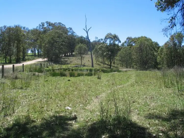 Third view of Homely rural property listing, 800 Timbarra Road, Tenterfield NSW 2372