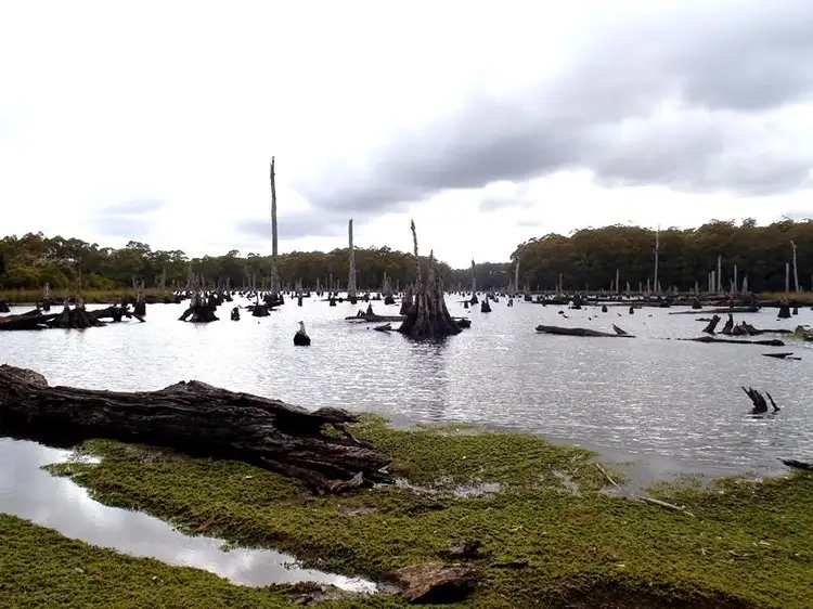 Seventh view of Homely rural property listing, Lot 2 Main Road, Waratah TAS 7321