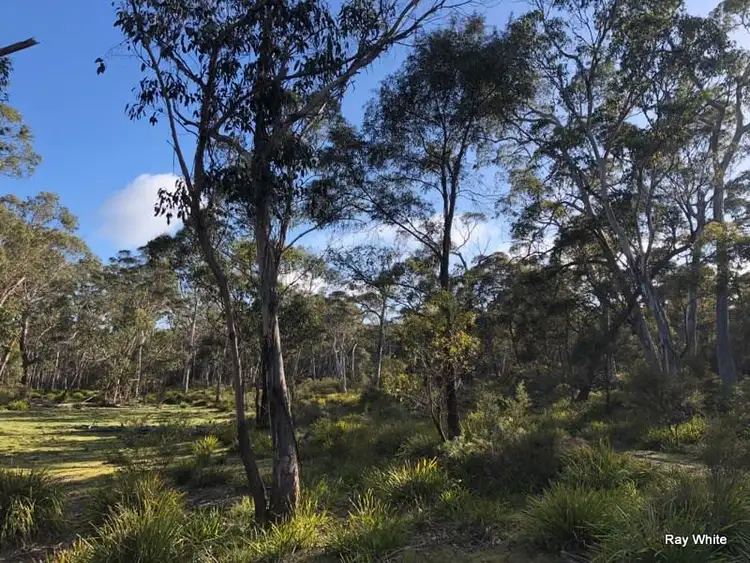 Third view of Homely rural property listing, 98 Kirriford Road, Nerriga NSW 2622